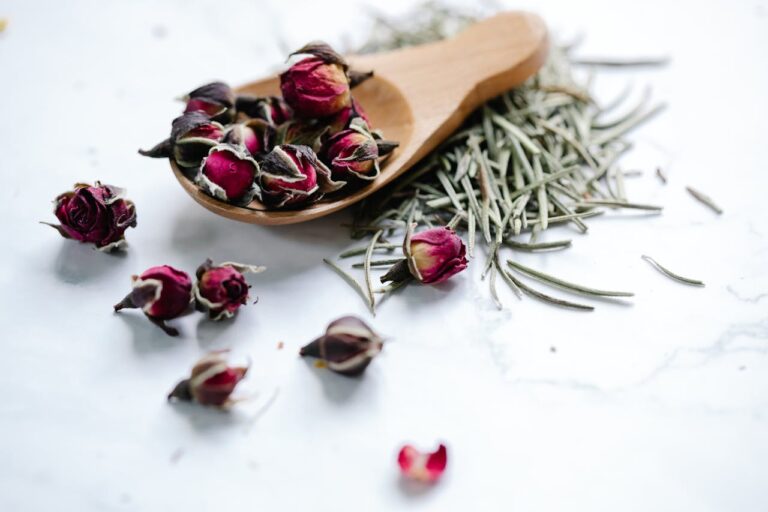 Can’t Focus? The Best Herbal Brain Boosters for Mental Clarity & Memory