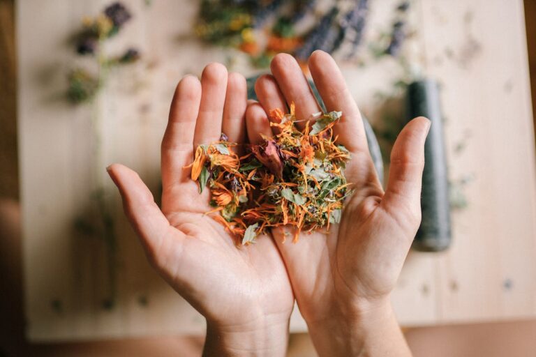 Why Your Hormones Are Out of Balance (And the Herbs That Restore Them)