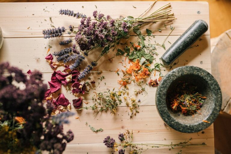 Herbs vs. Pharmaceuticals: Are Natural Remedies More Effective?